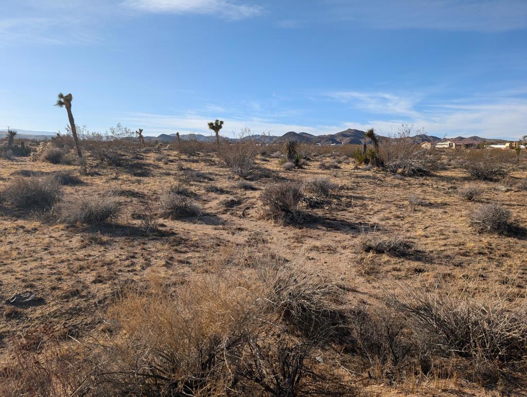 Not Applicable-1 - Land