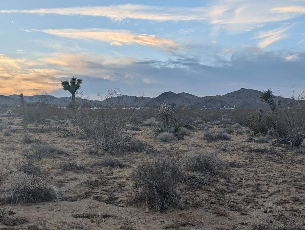 Not Applicable-1 - Land