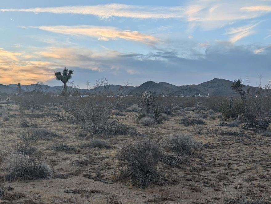 Two Acre Vacant Land Parcel available in the beautiful Yucca Valley-known for its stunning scenery, outdoor activities, starry skies, clean air, and charming community. The land is level for building, yet has magnificent mountain views in all directions - water and power access right at the street offers easy connection to utilities. While the parcel is scenic and private, it is just a few blocks from food critic Darling La Copine, as well as the Giant Rock r4estaurant and other modern conveniences. Old Town Yucca Valley is just a 15 minute drive, and offers an array of eateries - including the iconic Copper Room and Frontier Cafe, as well as eclectic shops, a yoga studio, VONS, and the Pointed Pearl Spa. The property is centrally located between Joshua Tree and Pioneertown - so you are also well positioned to venture to Pappy and Harriet's for a concert, or the national park for a hike. If you are a family looking to escape the big city, the property is just ten minutes from the highly regarded Yucca Mesa Elementary School. The property would also be well-suited for creating a relaxing retreat that could serve as a vacation home, or income property. If an equestrian retreat sounds like your cup of tea, the parcel is zoned for horses. The possibilities for this piece of high desert paradise are endless - create your dream family home, a profitable income property, or simply hold the parcel as an investment that can appreciate as the Yucca Valley secret gets out!