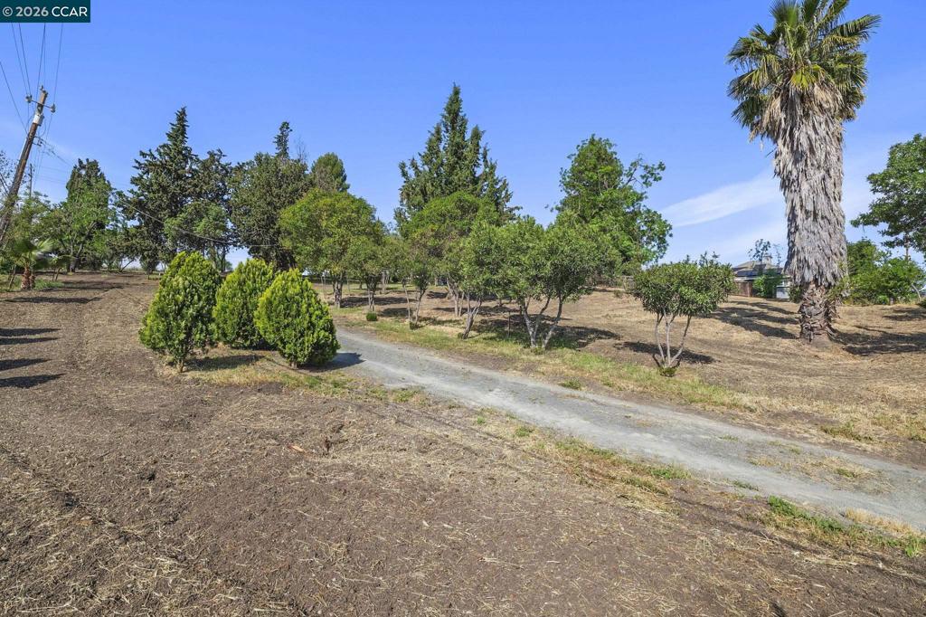 1051 Tilley Cir