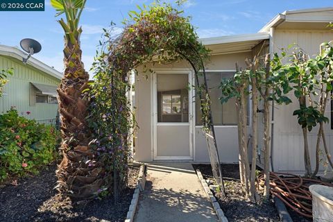 Photo of 2159 Dalis Drive Dr, Concord, CA 94520 (MLS # 41128221)