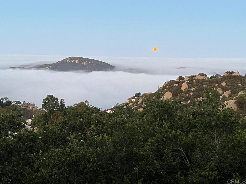 28521 Gladstone Court