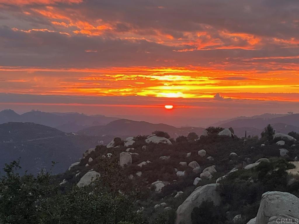 28521 Gladstone Court