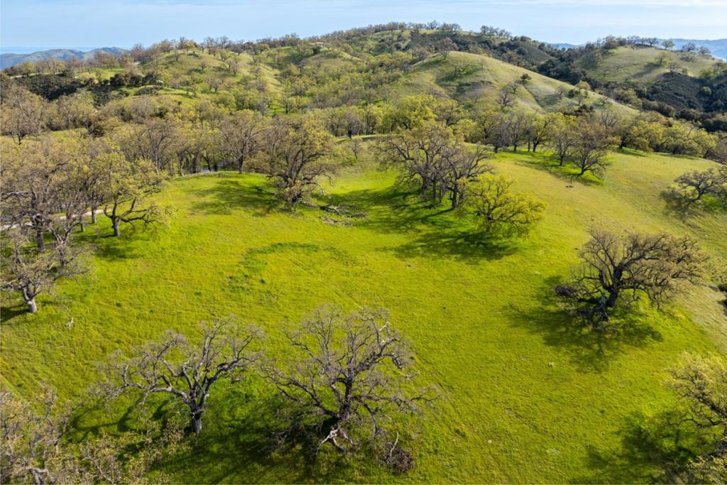 14 Long Ridge Trail (Lot 232)