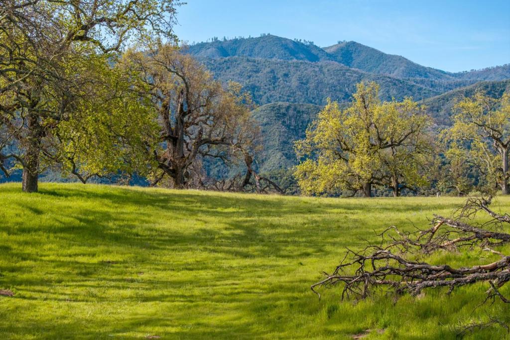 14 Long Ridge Trail (Lot 232)