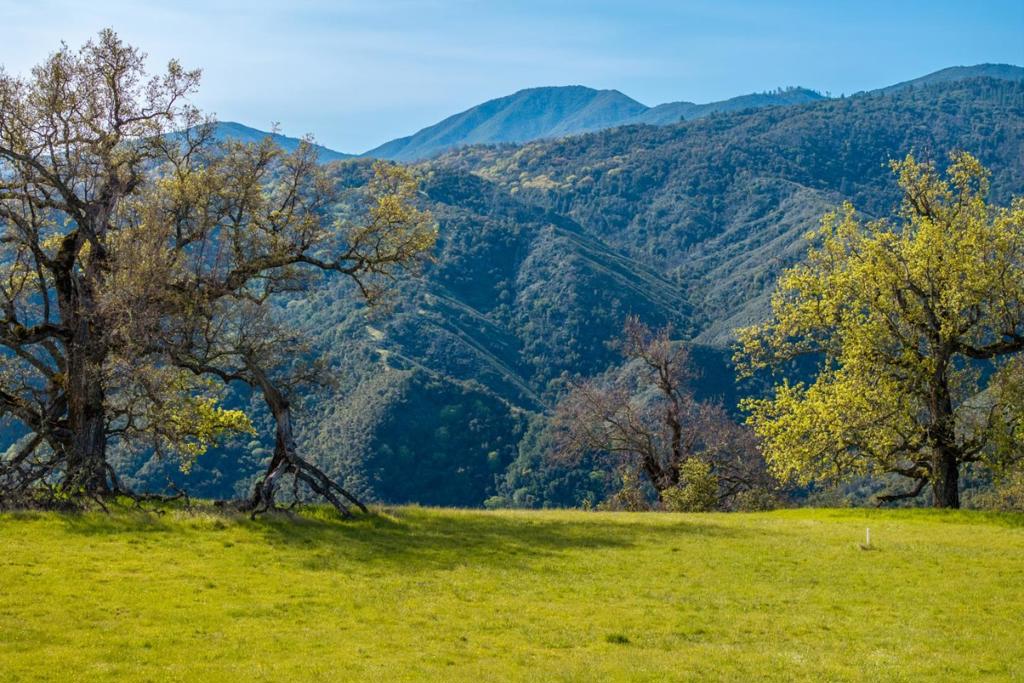 14 Long Ridge Trail (Lot 232)