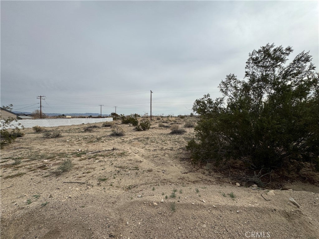 0 Elm (Tamarisk)