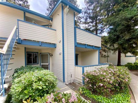 Photo of 374 Sequim Cmn Cmn, Fremont, CA 94539 (MLS # 41129605)
