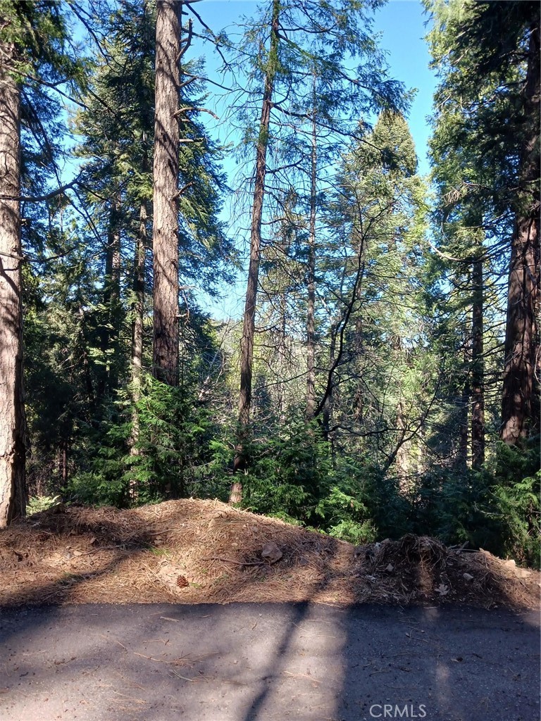 Large gentle down sloping lot in a wooded location with lots of privacy and great views. Frontage is 78 feet for this 10,360 sq. ft. lot. Located in a septic only area. Verify with Cedarpines Park water company as to availability of water meter. For potential buiilding information contact San Bernardino County Building Department. Great opportunity to own a piece of the mountain.