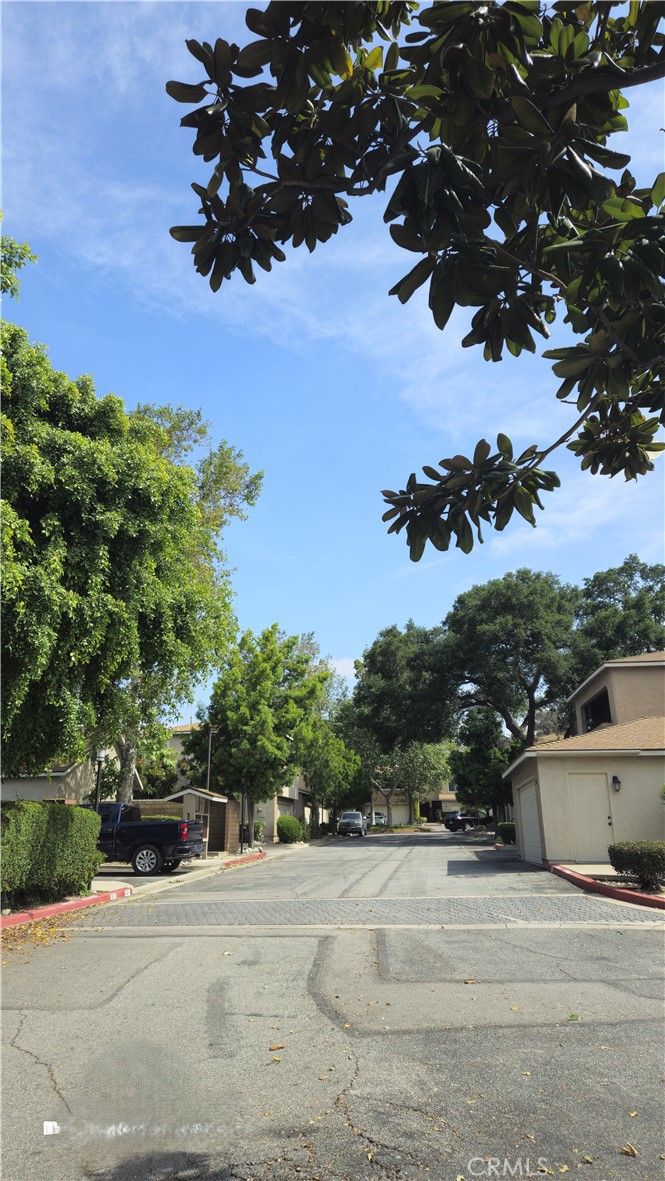 517 Wayland Court
