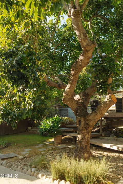 Tiny photo for 79 N Laurel Street, Ventura, CA 93001 (MLS # V1-39378)