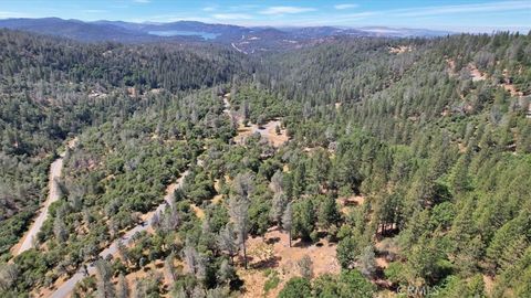 14818 Willow Glen Road Brownsville CA 95919