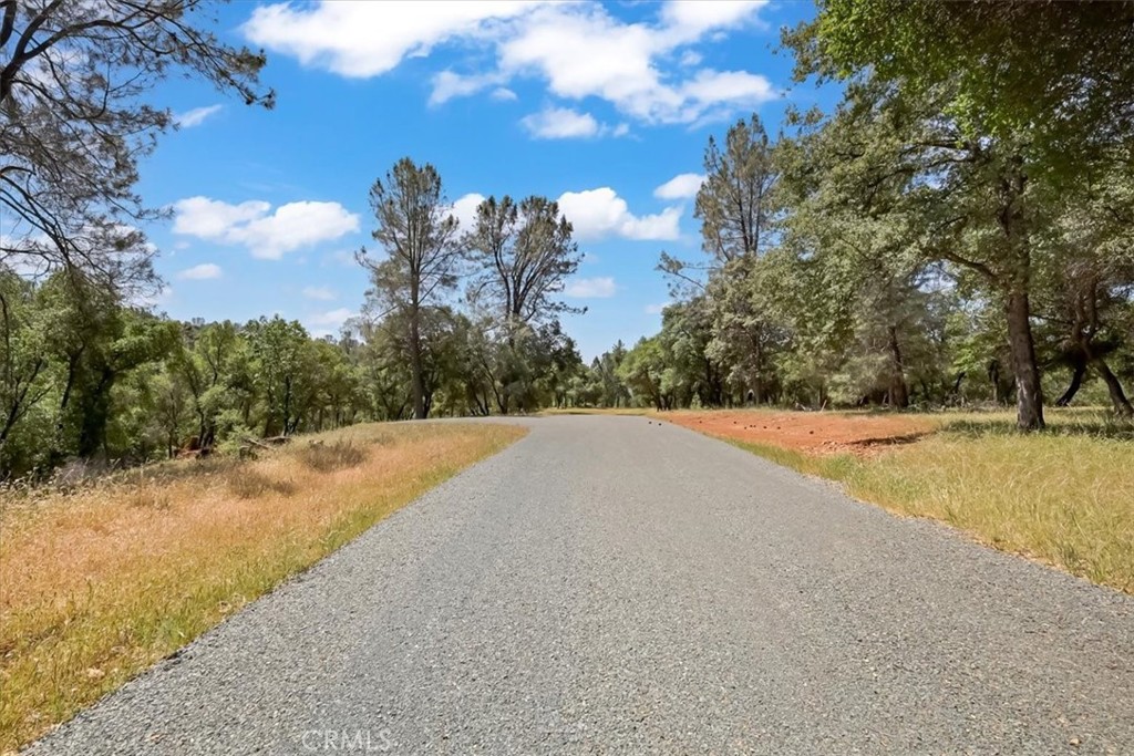 14818 Willow Glen Road