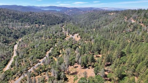 14818 Willow Glen Road Brownsville CA 95919