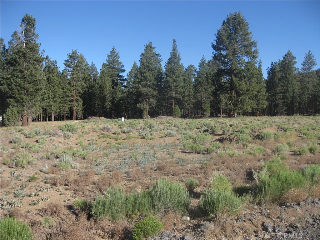 2824 Erwin Ranch Road