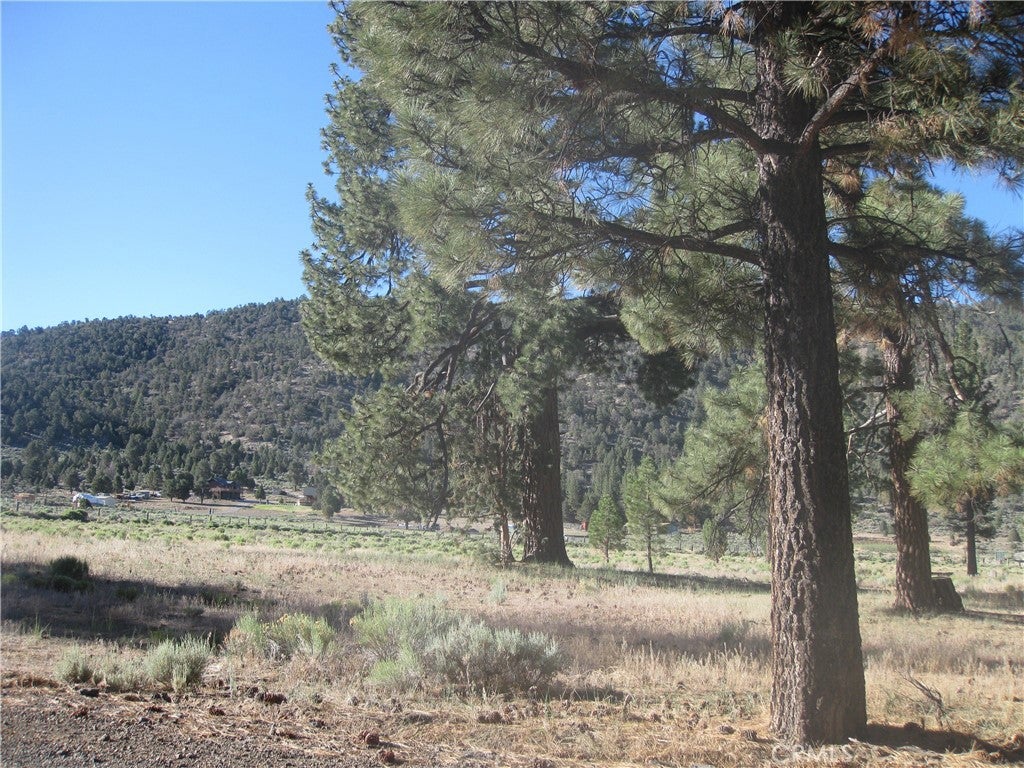 2824 Erwin Ranch Road