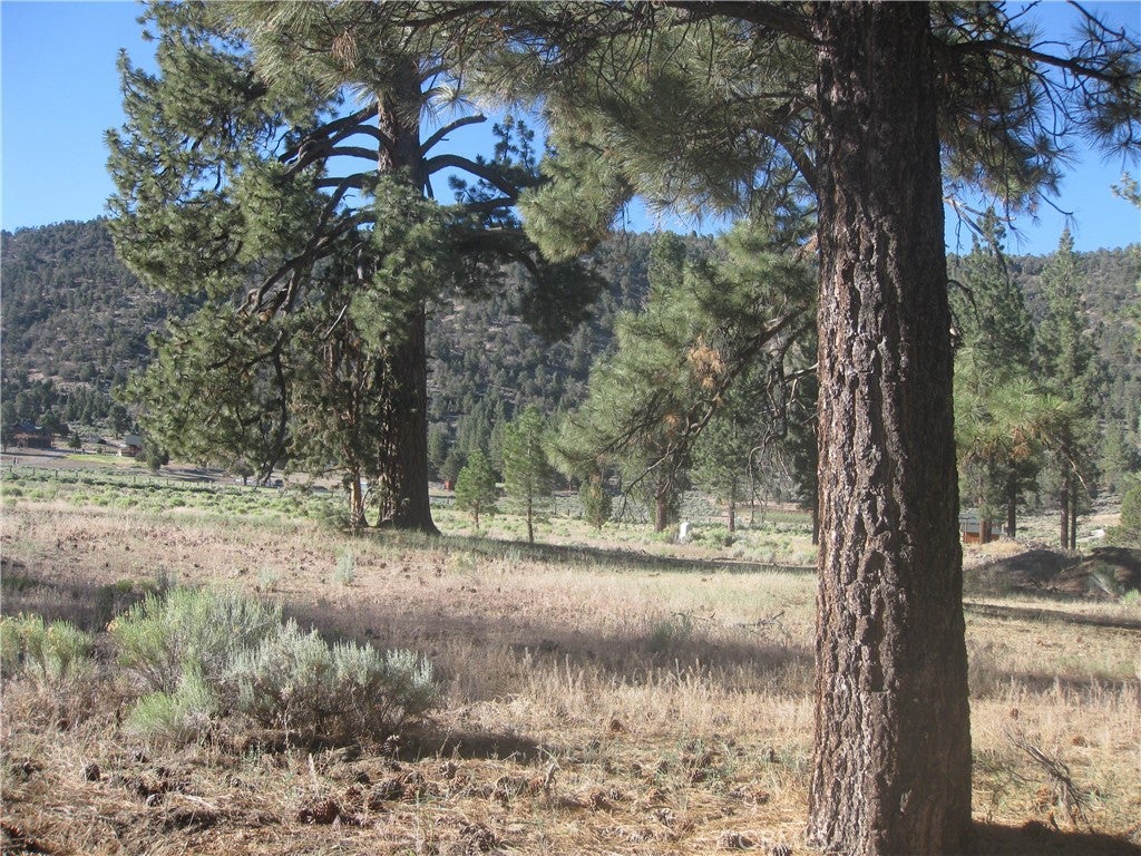 2824 Erwin Ranch Road