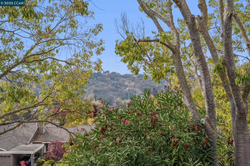 ROSSMOOR - Residential