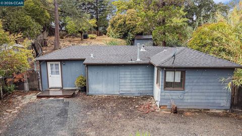 Photo of 233 Sierra Dr Dr, Walnut Creek, CA 94596 (MLS # 41131522)