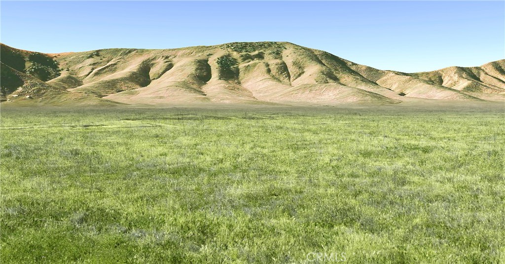 Carrizo Plains/California Valley(62) - Land