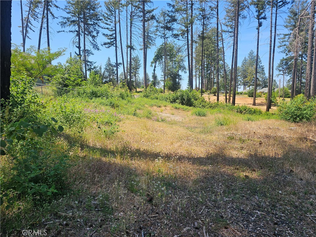 6649 Lincoln Drive