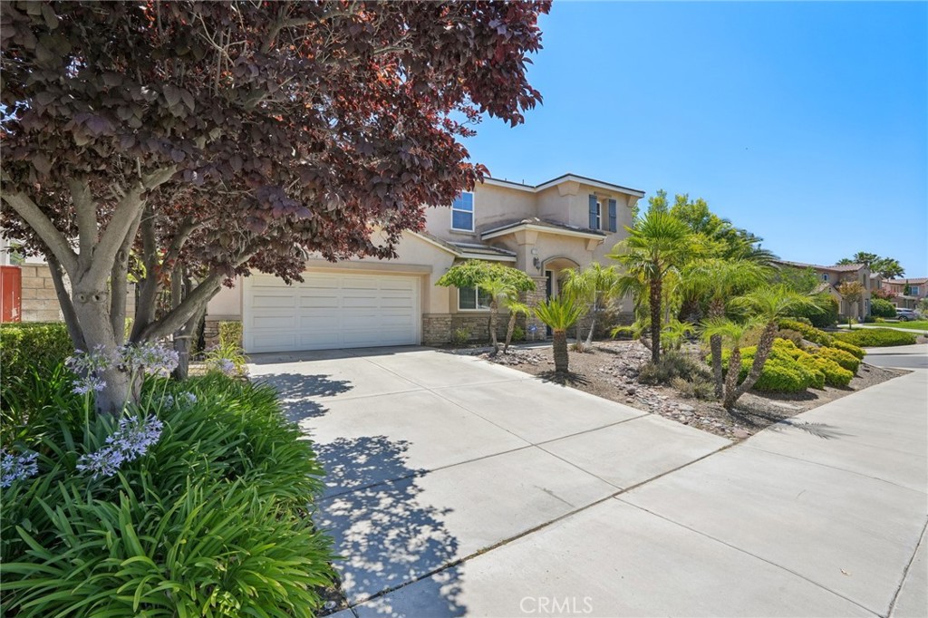 31923 Pepper Tree Street