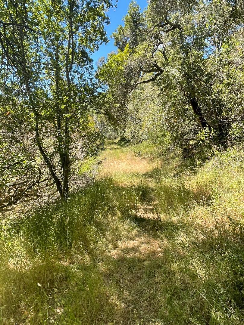 A rare opportunity to develop a pristine piece of residential land in one of California's most sought after luxury housing markets. The Meadowood Estates project has a tentative map approved for 8 single family homes. This listing represents one half of the overall project. The approved tentative map has two separate cul-de-sacs, one accessible off of Tartan Trail rd, and the other off of Crystal Springs rd. These two cul-de-sacs can be purchased together or separately. Each cul-de-sac can be developed for between 1 to 4 single family homes. Great opportunity for a developer looking for a multiple home project, or an owner user looking to create an idyllic private residence / compound. The drive for this cul-de-sac would come off of Crystal Springs Rd.