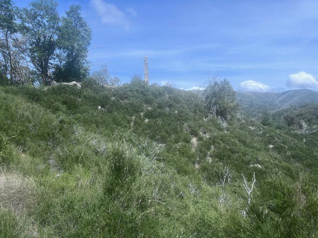 10 Long Ridge, Palo Colorado Road