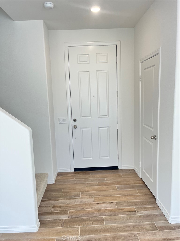 30343 Spineflower Street
