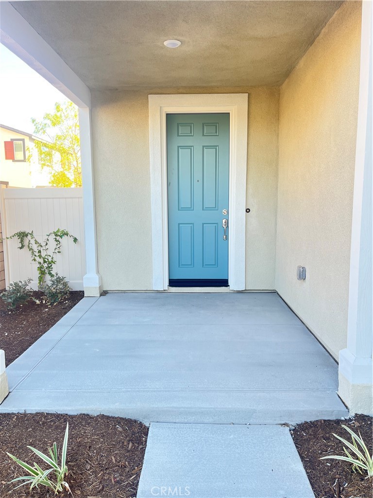 30343 Spineflower Street