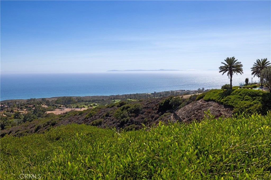 23 Pelican Vista, Newport Coast CA 92657 - Photo 52