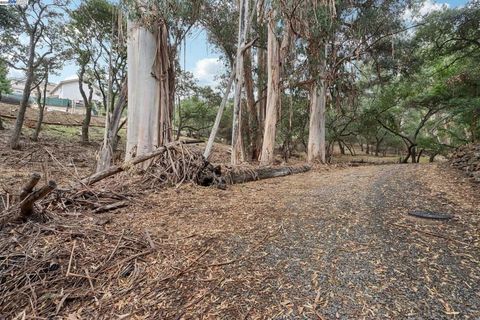 Photo of 0 Hidden Oaks, Hayward, CA 94541 (MLS # 41115723)