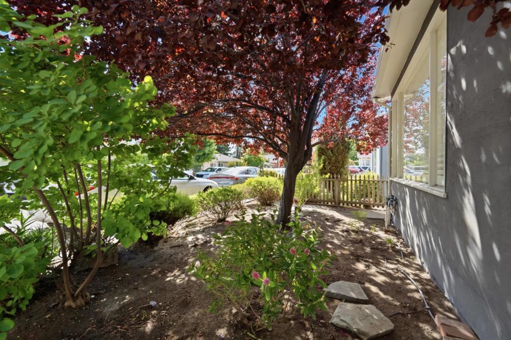 143 Bonita Avenue