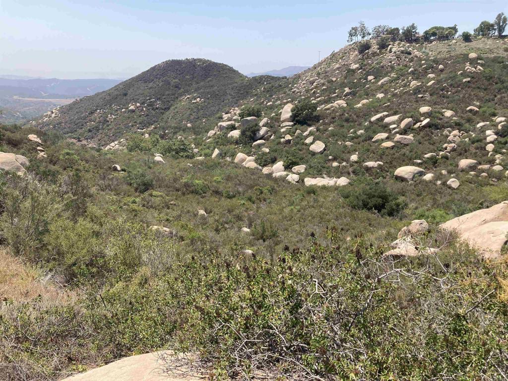 This 41.36-acre parcel offers stunning views of the surrounding hills and distant mountains along with water and electricity nearby. The property’s rugged terrain provides unmatched privacy and seclusion, making it ideal for those seeking a remote retreat, recreational use, or a long-term investment in land. With its natural beauty and expansive setting, this parcel offers a unique opportunity for buyers looking for space, scenery, and solitude, yet being within reach of nearby amenities.