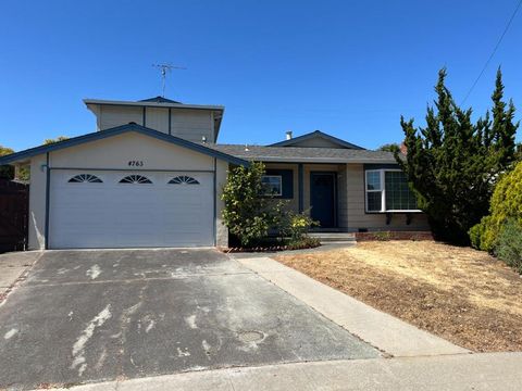Photo of 4765 Del Loma Court, Campbell, CA 95008 (MLS # ML82024924)