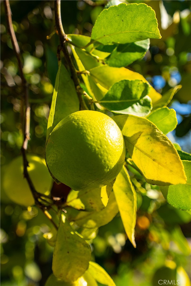 home acres - Residential