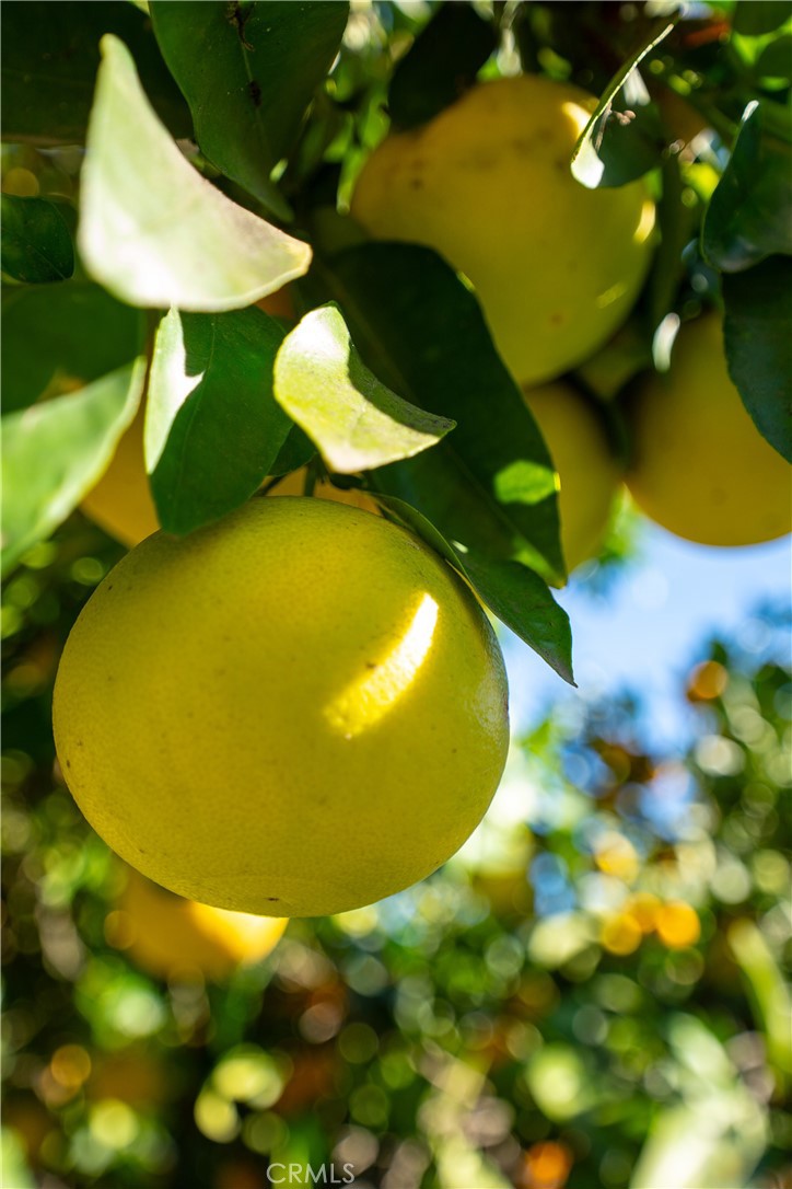 home acres - Residential