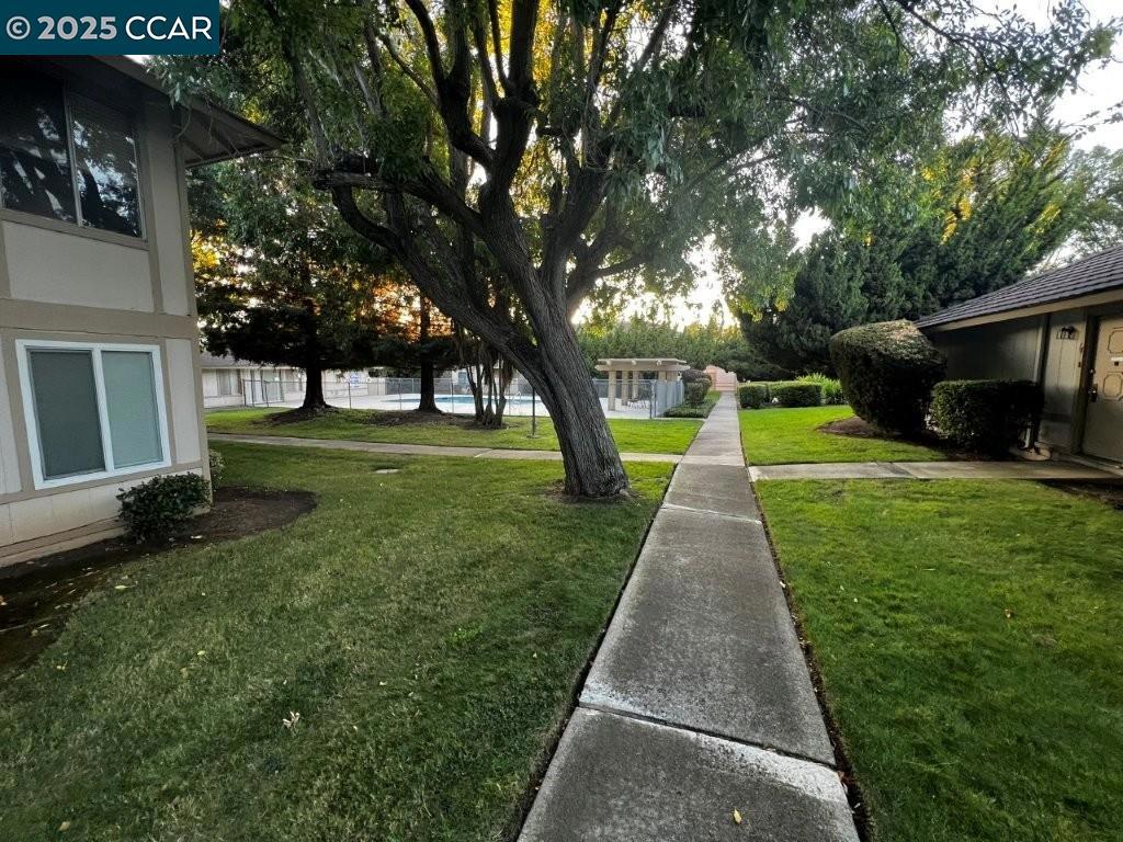 None - Residential Lease