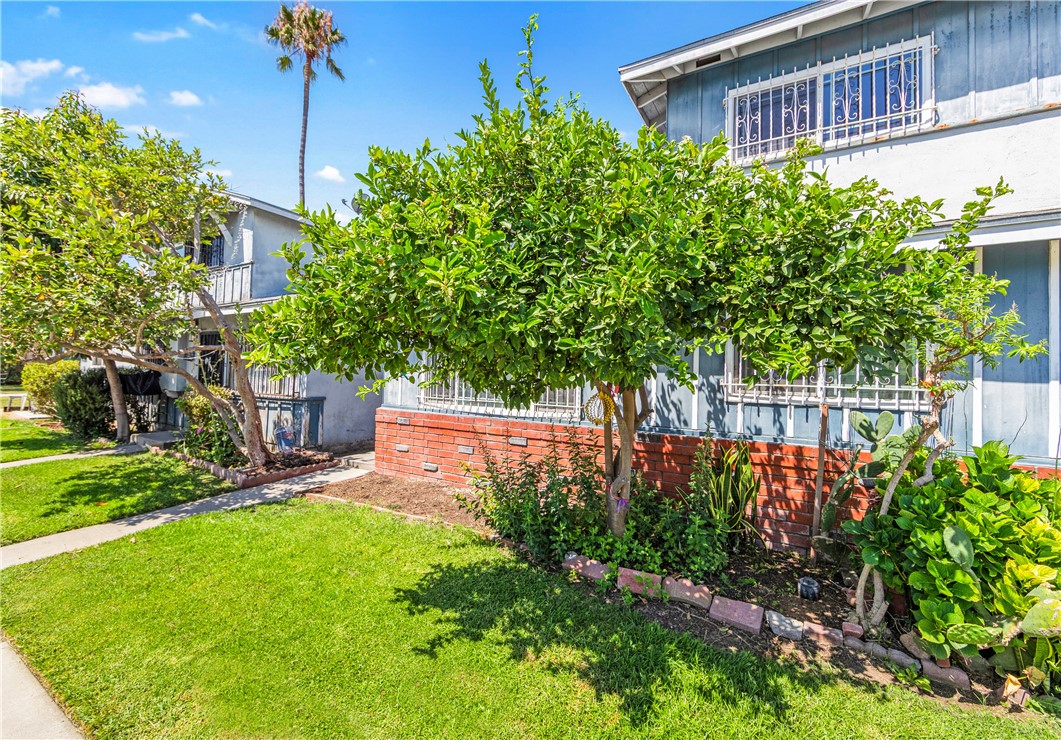 30 Camelback Avenue North