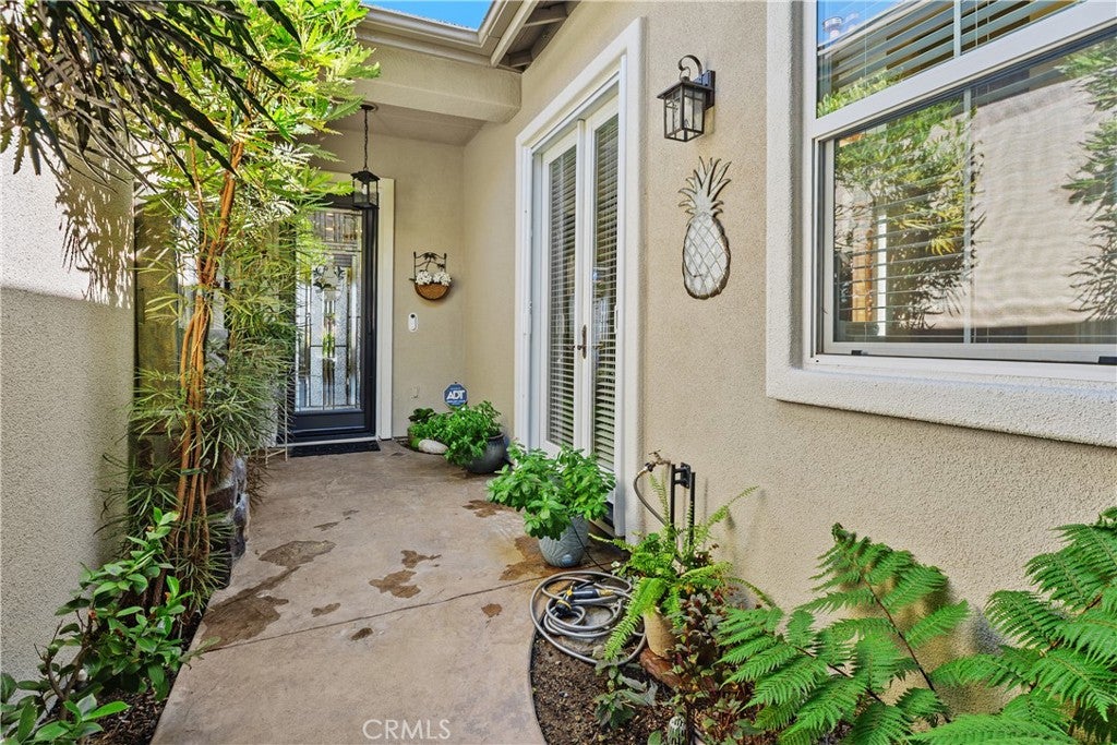 9104 Larkspur