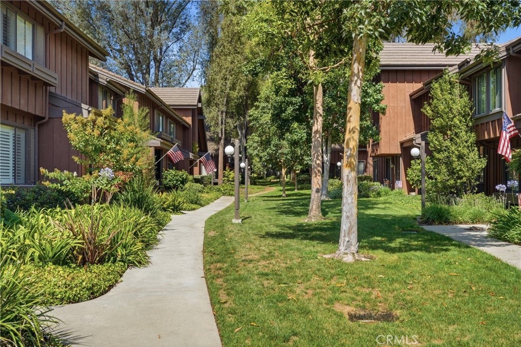 2181 Mount Shasta