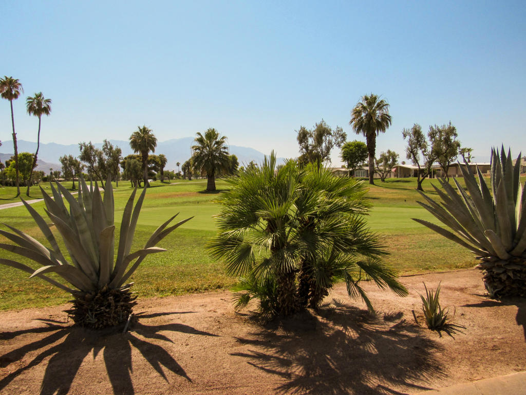 Palm Desert Greens - Manufactured In Park