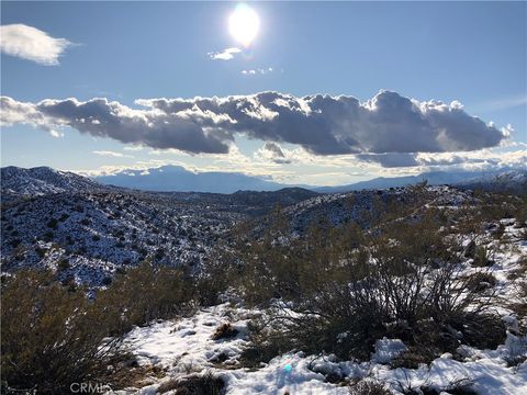 54575 Navajo Trail Yucca Valley CA 92284