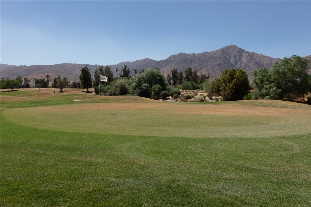 1010 Palm Canyon 58