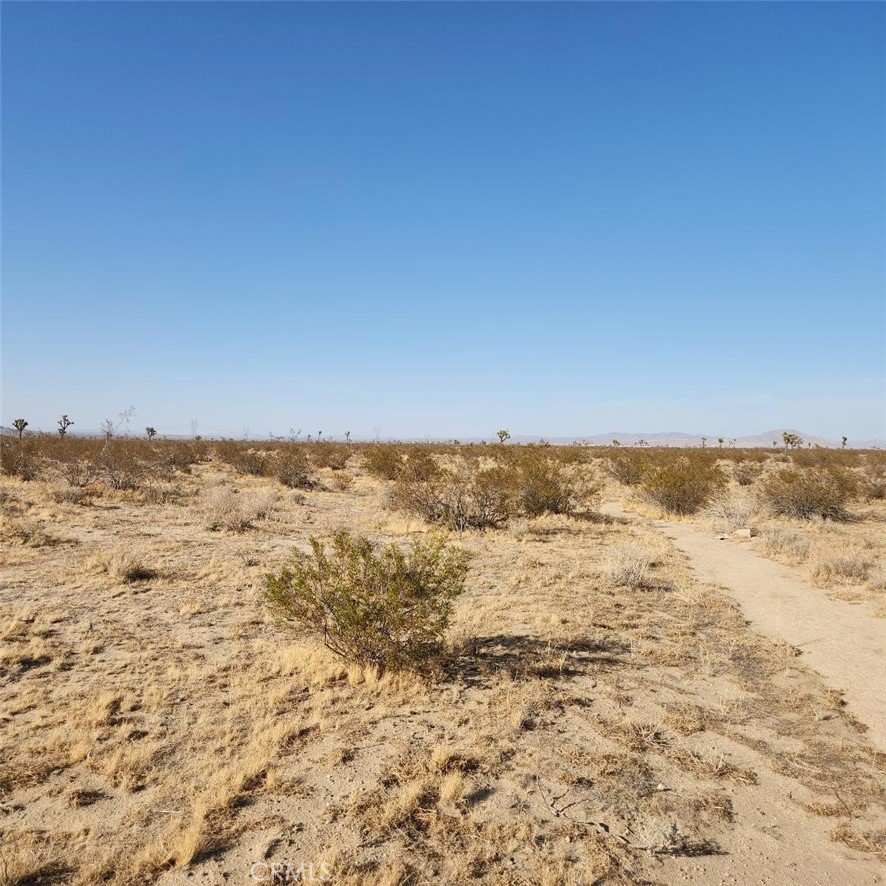 123 Wilson Ranch Road