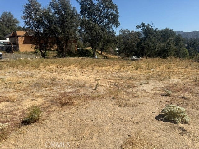 40385 Highway 41