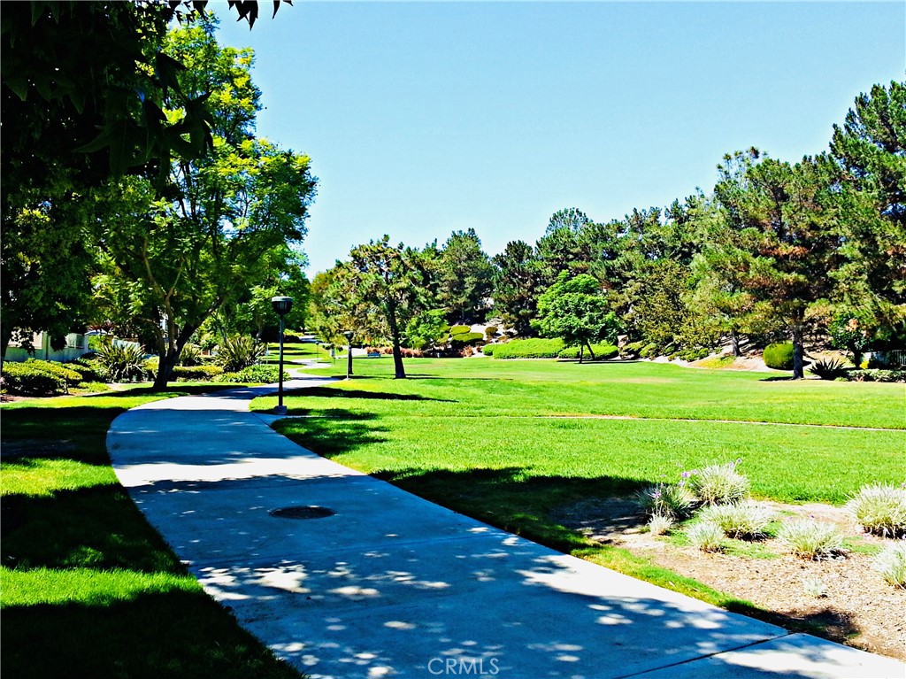 33 Briarglenn