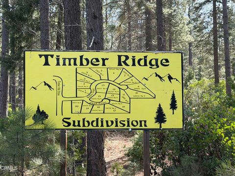 Photo of 1 Kirby Court, Burney, CA 96013 (MLS # V1-35489)