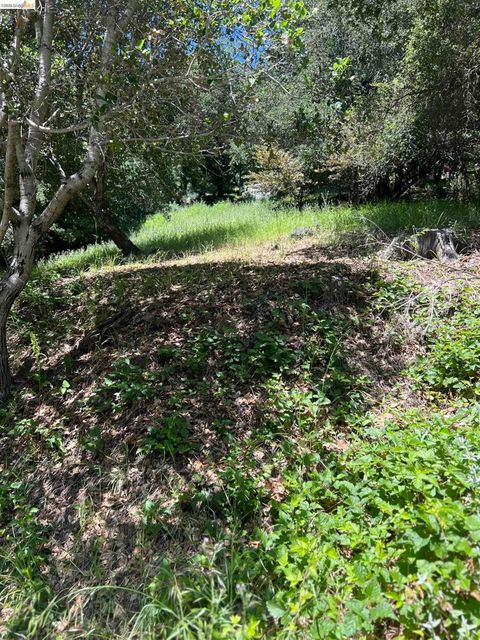 Photo of Beauforest Drive, Oakland, CA 94603 (MLS # 41133024)