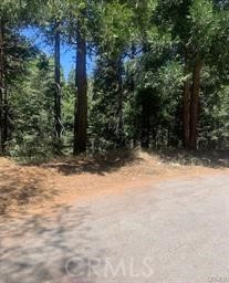 Terrific 1/2 acre lot zoned commercial in Lake Arrowhead adjacent to Blue Jay and Verizon.